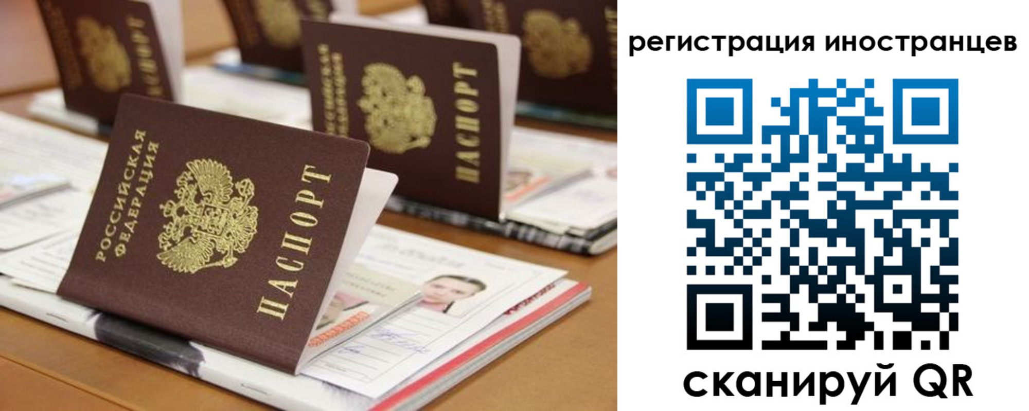 прописка для работы в Волгодонске